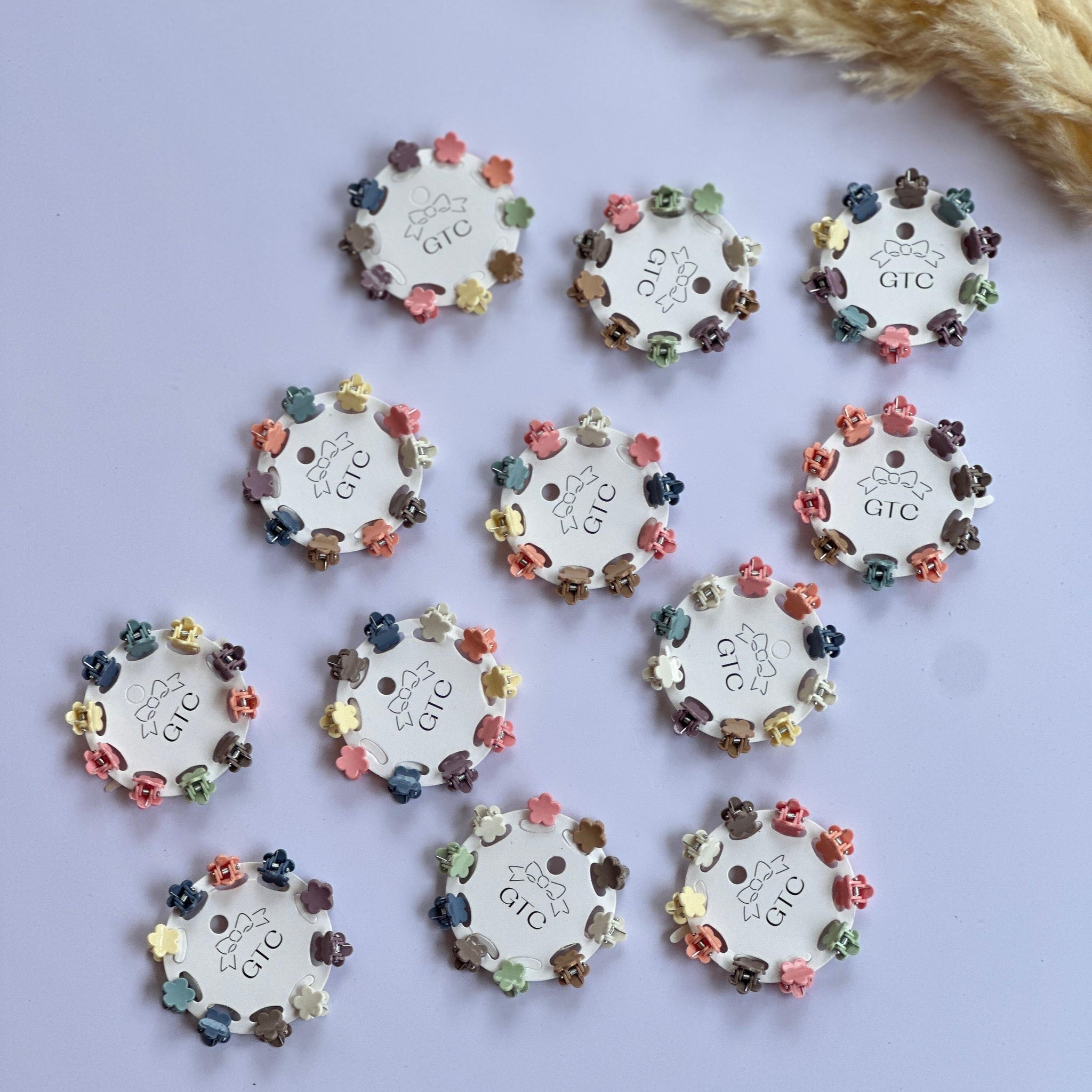 Mini claw clip set.
