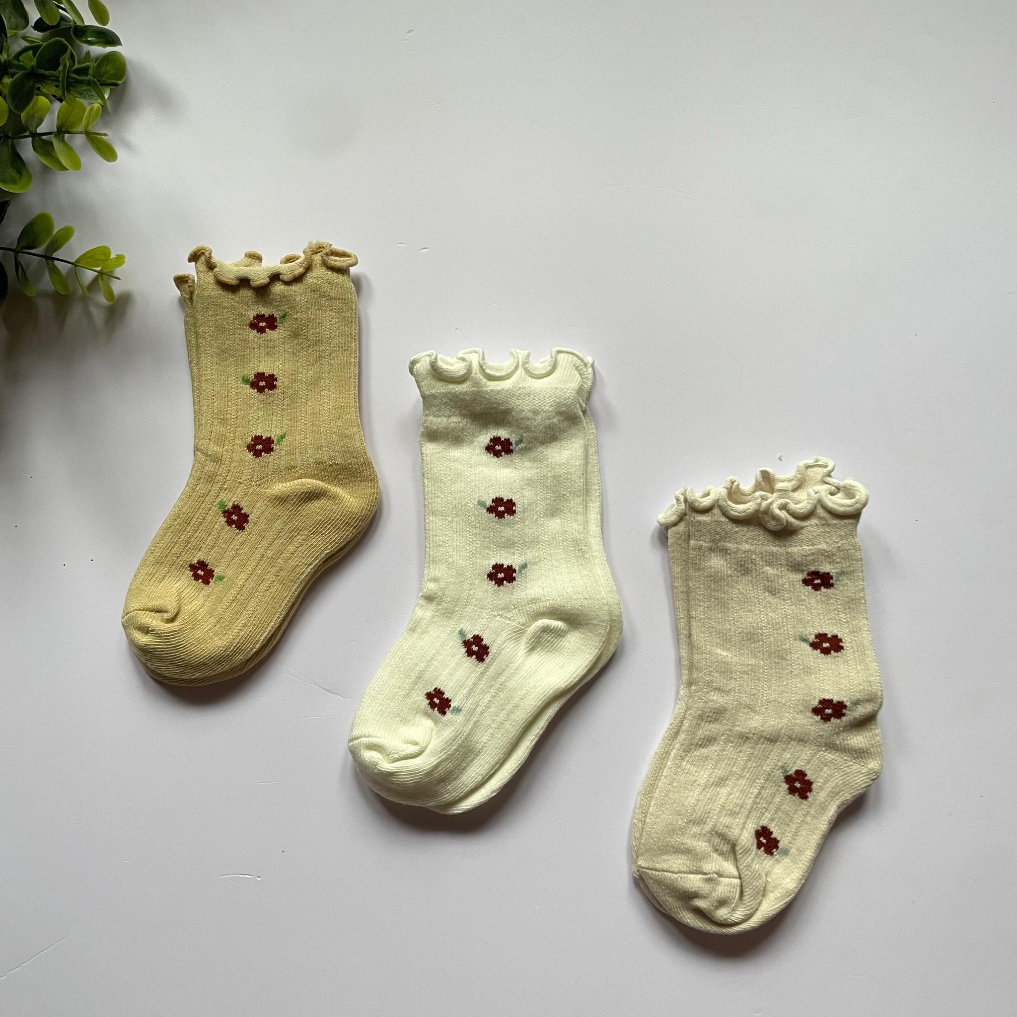 Daisy dot baby socks