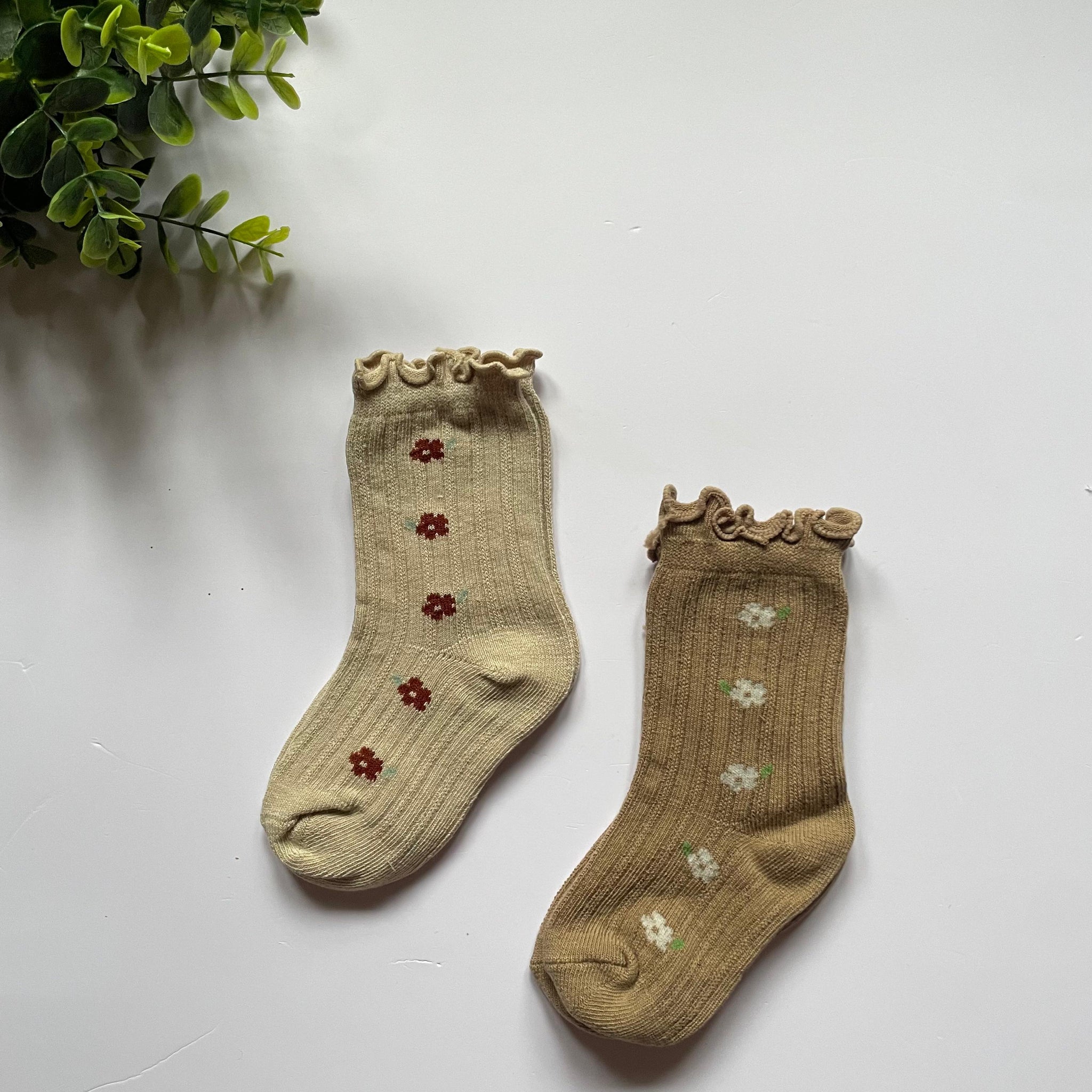 Daisy baby dot socks